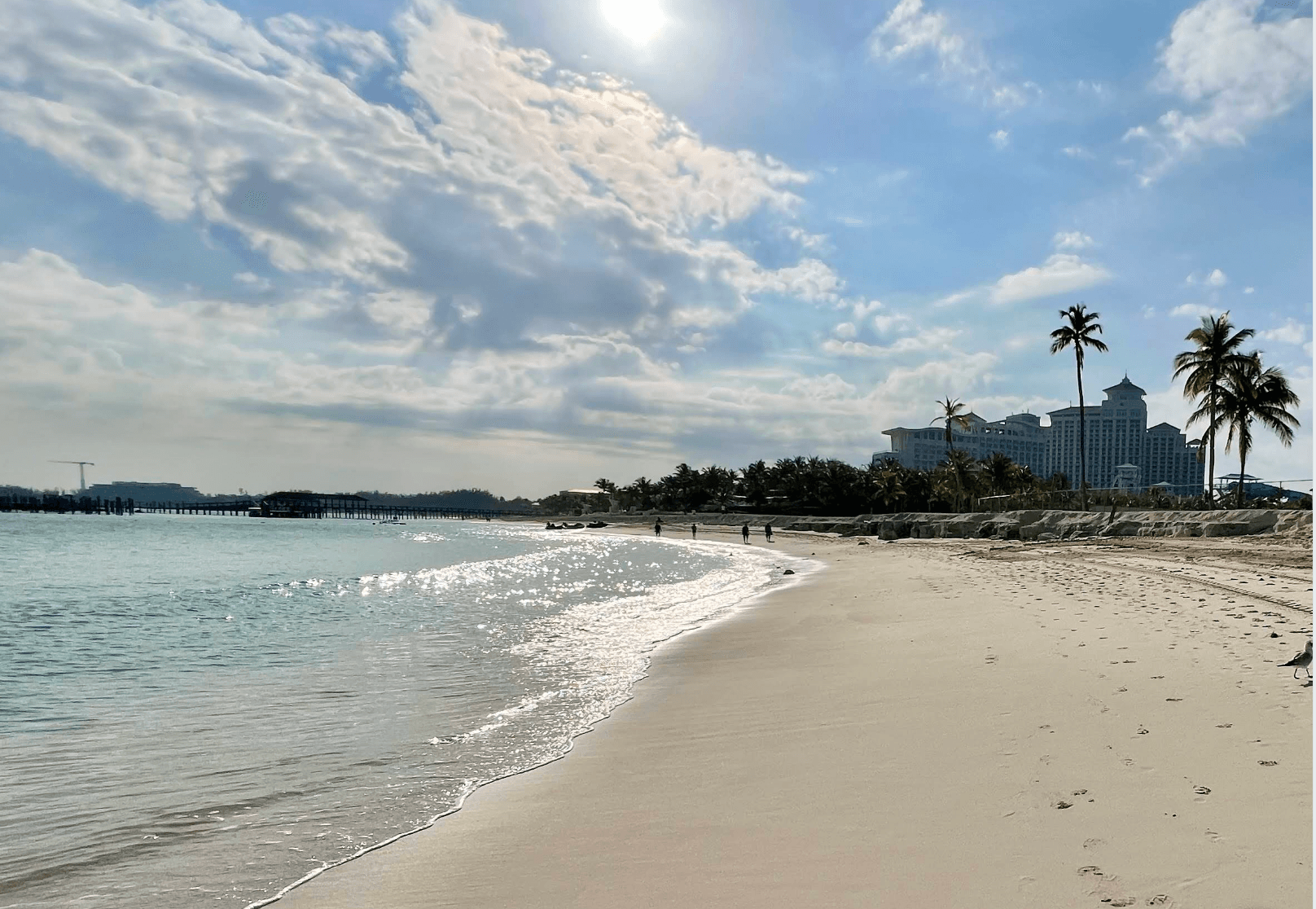 Cable Beach shoreline with palm trees and resort buildings