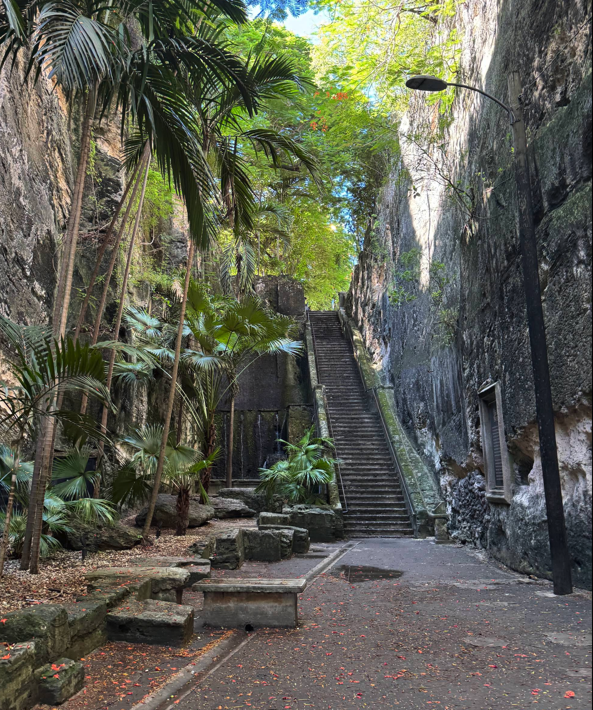 Queen’s Staircase between limestone walls and tropical greenery in Nassau